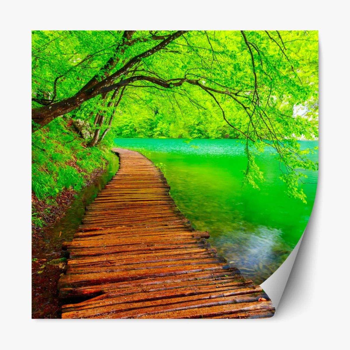 Naklejka repozycjonowalna spokojny zielony pomost nad jeziorem – Wallissimo® Naklejka repozycjonowalna spokojny zielony pomost nad jeziorem – Wallissimo®