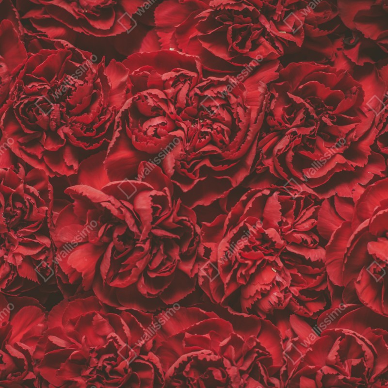 Naklejka repozycjonowalna retro czerwone goździki wzór kwiatowy – Wallissimo® Naklejka repozycjonowalna retro czerwone goździki wzór kwiatowy – Wallissimo®