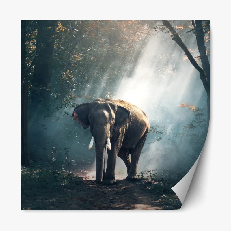 Naklejka repozycjonowalna granatowy geometryczny wzór sześcianów – Wallissimo®