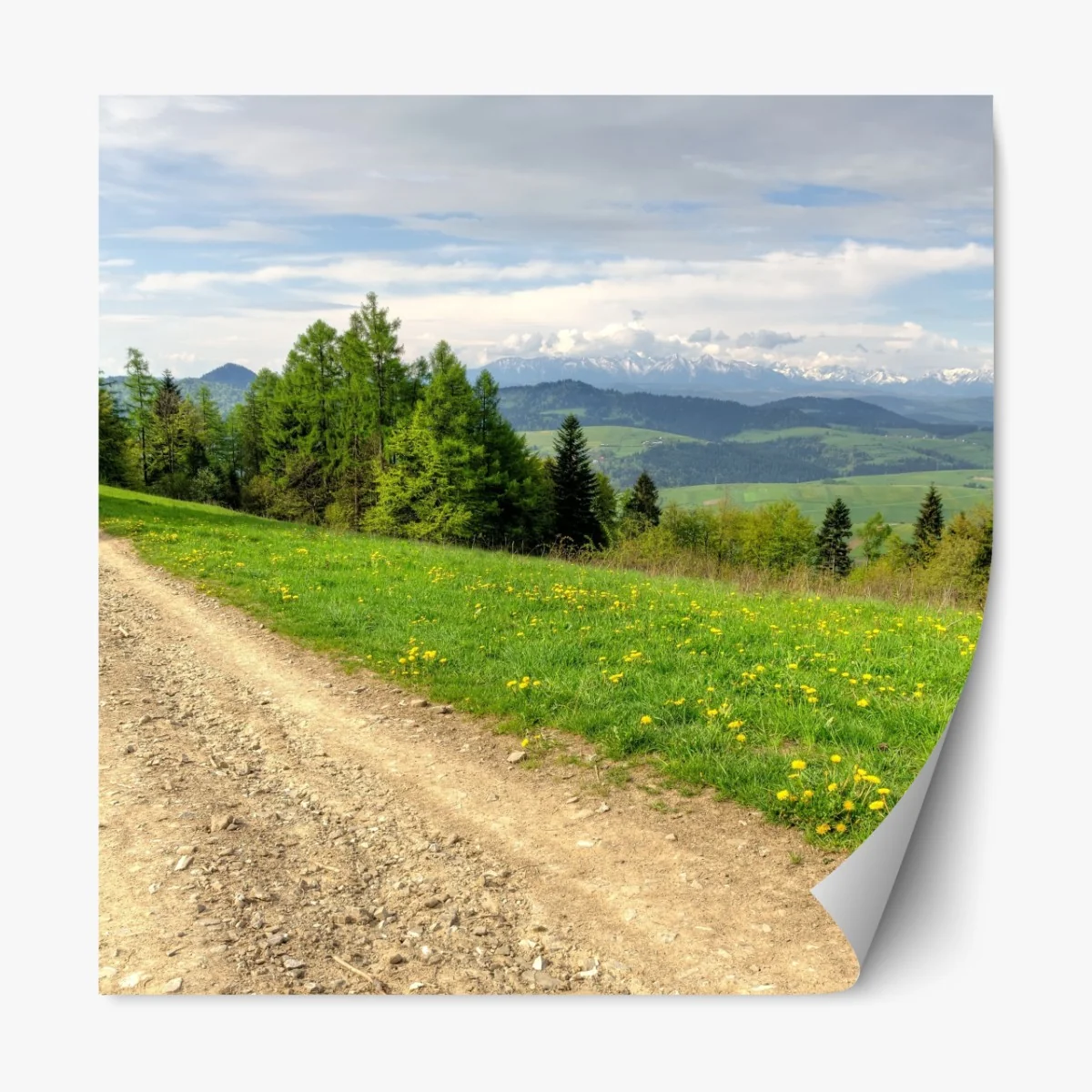 Naklejka repozycjonowalna Gorce wiosenny szlak – Wallissimo® Naklejka repozycjonowalna Gorce wiosenny szlak – Wallissimo®