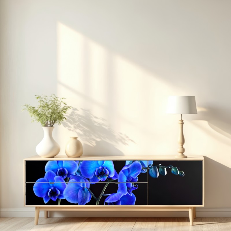 Naklejka repozycjonowalna intensywna niebieska orchidea na czarnym tle – Wallissimo® Naklejka repozycjonowalna intensywna niebieska orchidea na czarnym tle – Wallissimo®