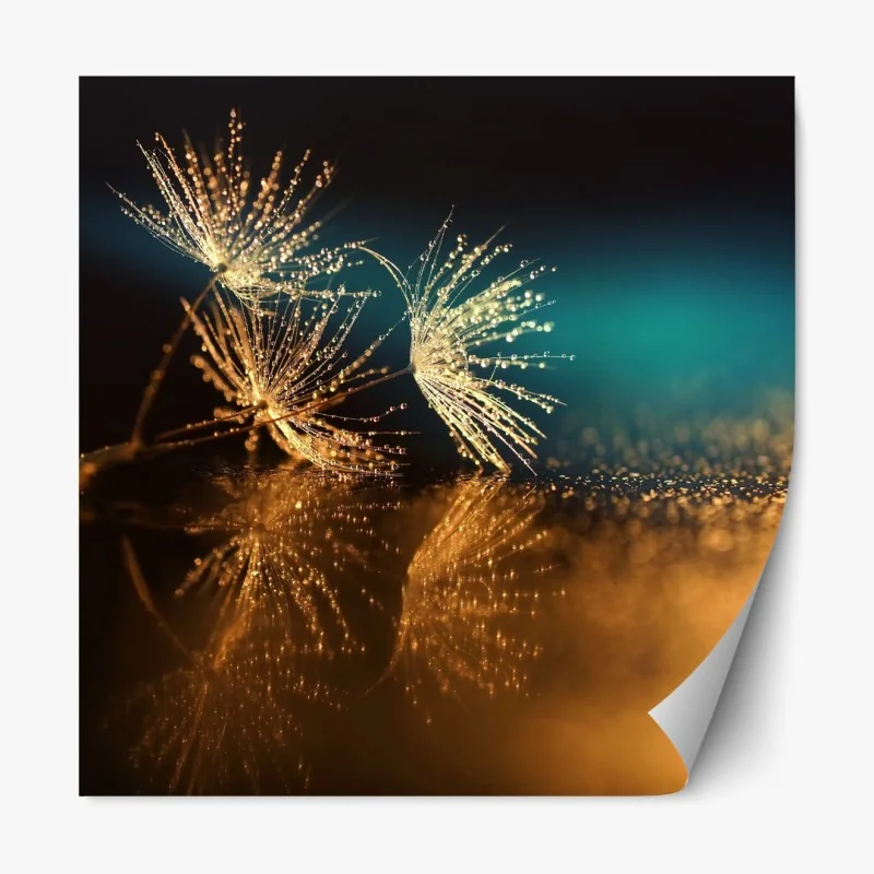 Naklejka repozycjonowalna złote odbicie dmuchawca