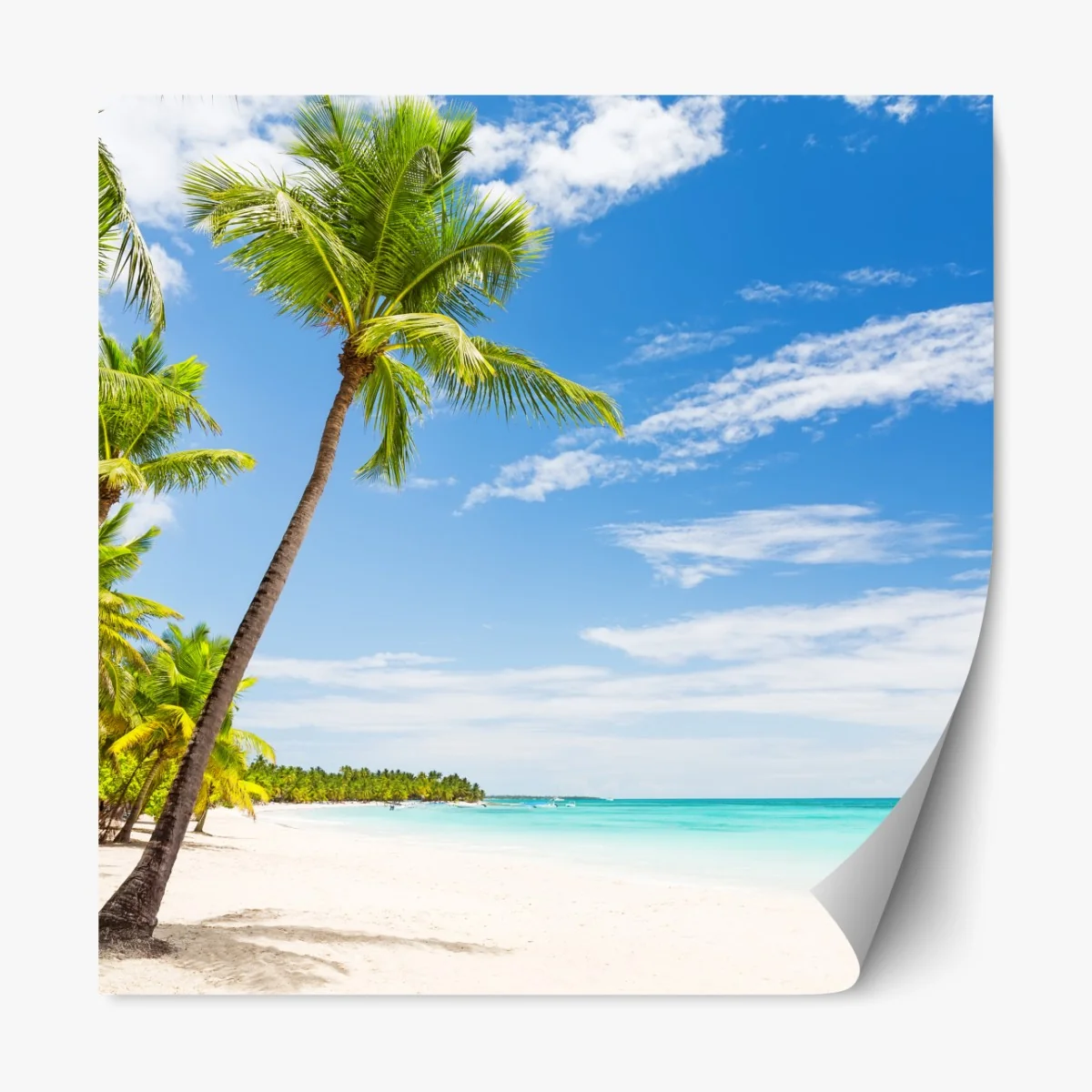 Naklejka repozycjonowalna plaża z palmami w Punta Cana – Wallissimo® Naklejka repozycjonowalna plaża z palmami w Punta Cana – Wallissimo®