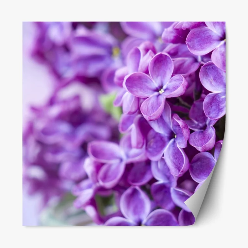 Naklejka repozycjonowalna monochromatyczny geometryczny wzór z kropkami – Wallissimo®