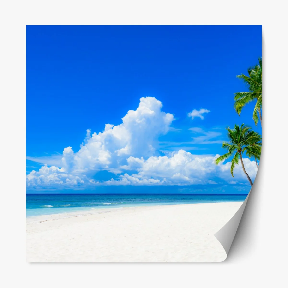 Naklejka repozycjonowalna tropikalna plaża z palmami pod błękitnym niebem – Wallissimo® Naklejka repozycjonowalna tropikalna plaża z palmami pod błękitnym niebem – Wallissimo®