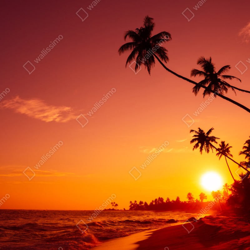 Naklejka repozycjonowalna tropikalny zachód słońca nad plażą – Wallissimo® Naklejka repozycjonowalna tropikalny zachód słońca nad plażą – Wallissimo®