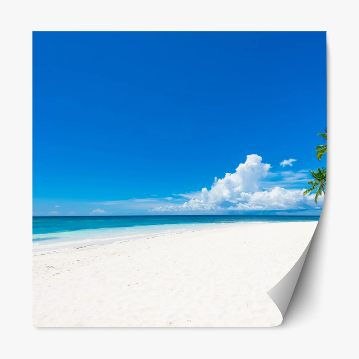Naklejka repozycjonowalna tropikalna plaża z palmami – Wallissimo® Naklejka repozycjonowalna tropikalna plaża z palmami – Wallissimo®