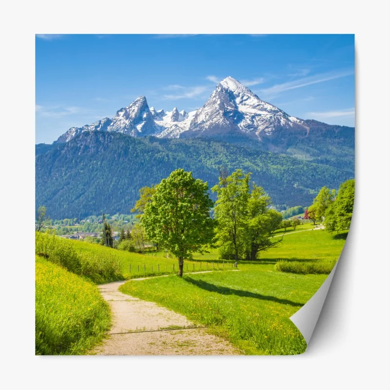 Naklejka repozycjonowalna rudy kociak w filiżance – Wallissimo®