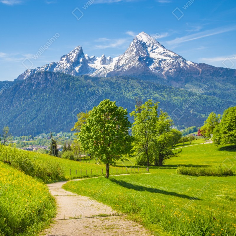 Naklejka repozycjonowalna spokojna alpejska łąka z górskimi szczytami – Wallissimo® Naklejka repozycjonowalna spokojna alpejska łąka z górskimi szczytami – Wallissimo®