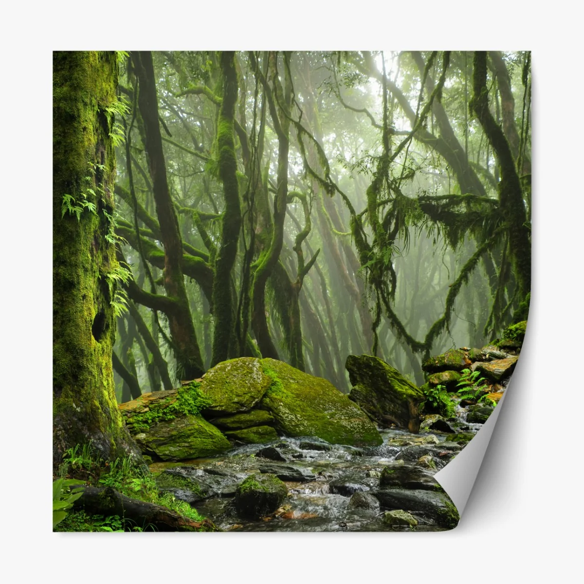 Naklejka repozycjonowalna las ze strumieniem we mgle – Wallissimo® Naklejka repozycjonowalna las ze strumieniem we mgle – Wallissimo®