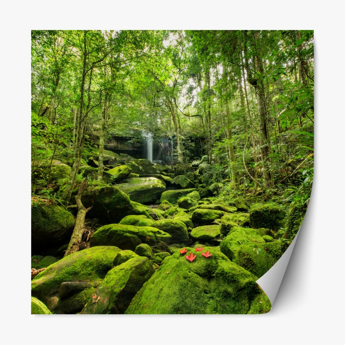 Naklejka repozycjonowalna bujny mech i wodospad w tropikalnym lesie – Wallissimo® Naklejka repozycjonowalna bujny mech i wodospad w tropikalnym lesie – Wallissimo®