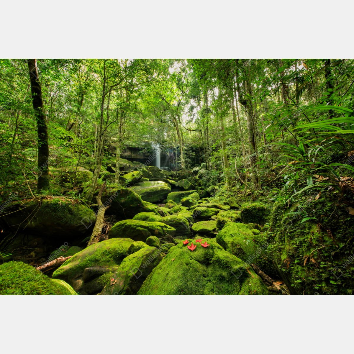 Naklejka repozycjonowalna bujny mech i wodospad w tropikalnym lesie – Wallissimo® Naklejka repozycjonowalna bujny mech i wodospad w tropikalnym lesie – Wallissimo®
