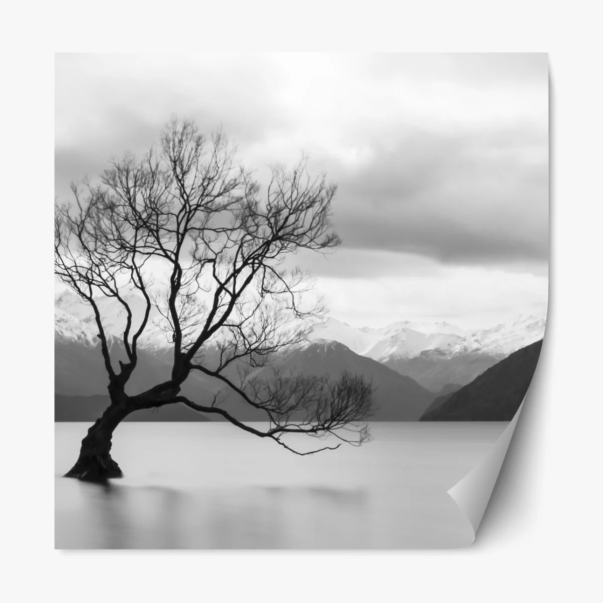 Naklejka repozycjonowalna samotne drzewo na jeziorze – Wallissimo® Naklejka repozycjonowalna samotne drzewo na jeziorze – Wallissimo®