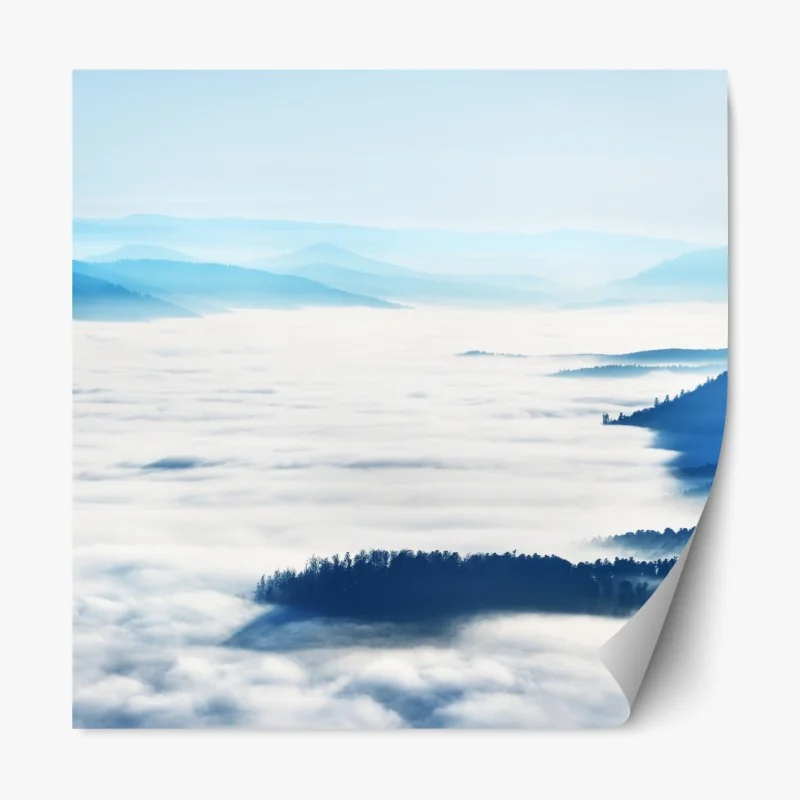 Naklejka repozycjonowalna akwarelowe liście eukaliptusa na ciemnym tle – Wallissimo®