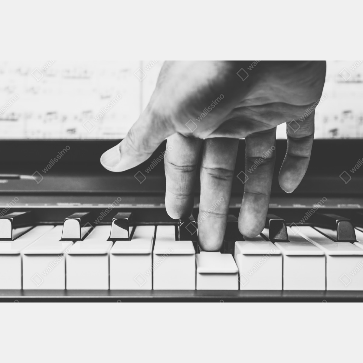 Naklejka repozycjonowalna ręka na klawiszach fortepianu – Wallissimo® Naklejka repozycjonowalna ręka na klawiszach fortepianu – Wallissimo®