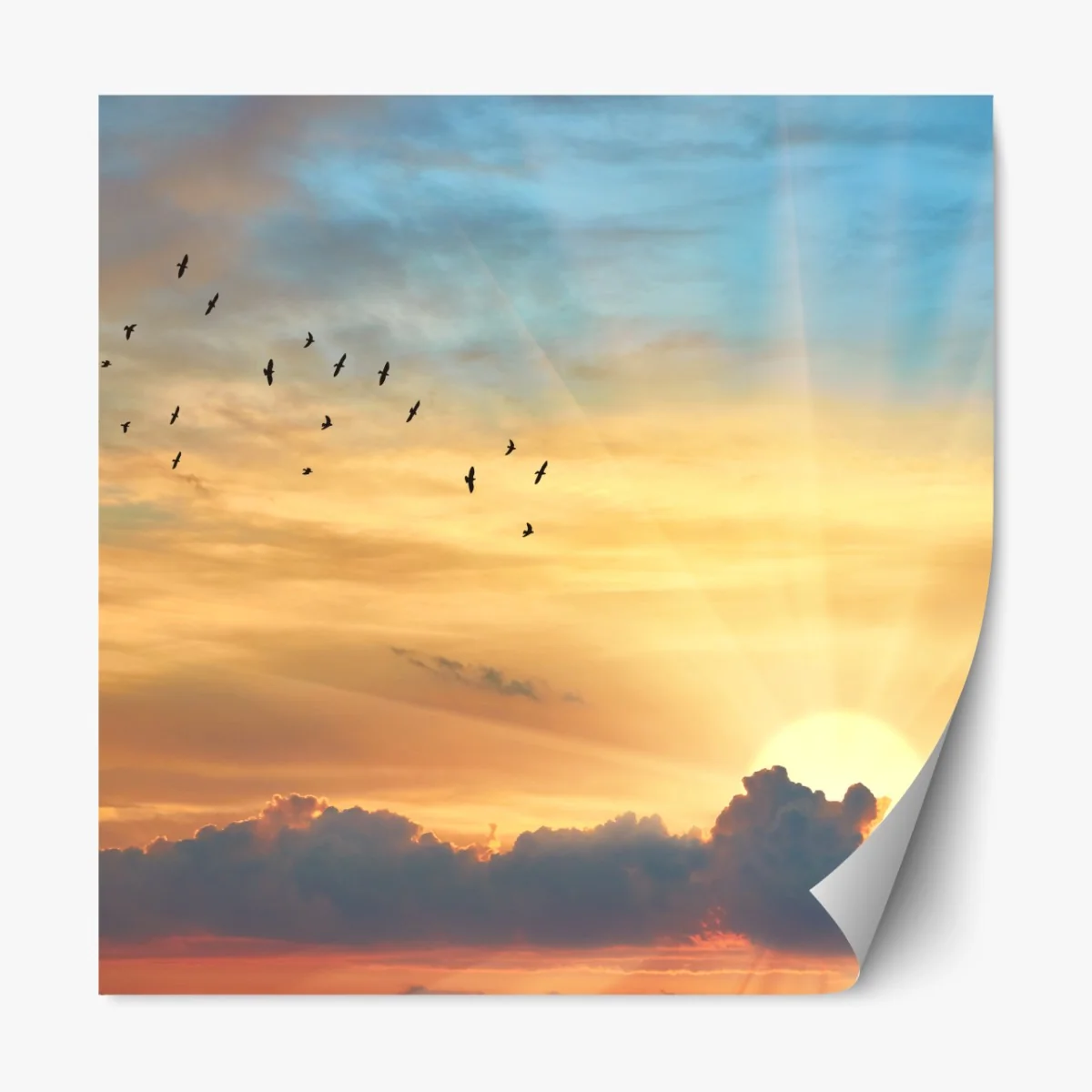 Naklejka repozycjonowalna złoty wschód słońca nad chmurami – Wallissimo® Naklejka repozycjonowalna złoty wschód słońca nad chmurami – Wallissimo®
