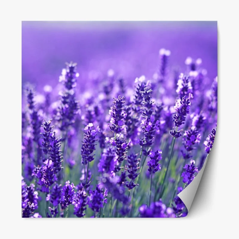 Naklejka repozycjonowalna biały trójwymiarowy geometryczny wzór low-poly – Wallissimo®