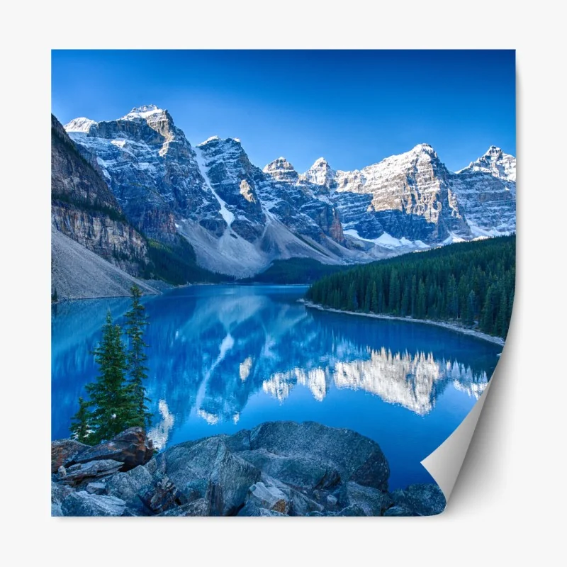 Naklejka repozycjonowalna tropikalne liście bananowca – Wallissimo®