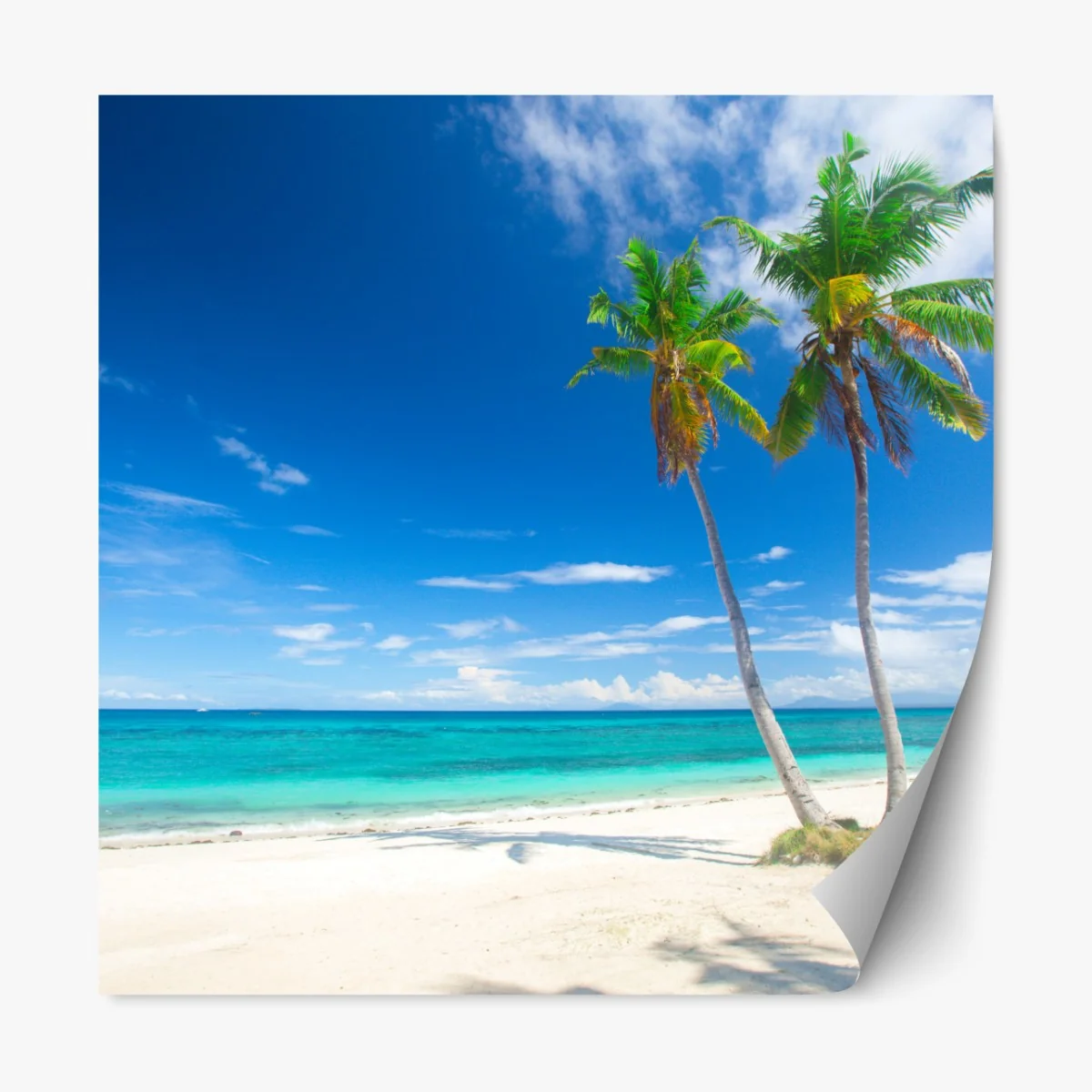 Naklejka repozycjonowalna tropikalne palmy na turkusowej plaży – Wallissimo® Naklejka repozycjonowalna tropikalne palmy na turkusowej plaży – Wallissimo®