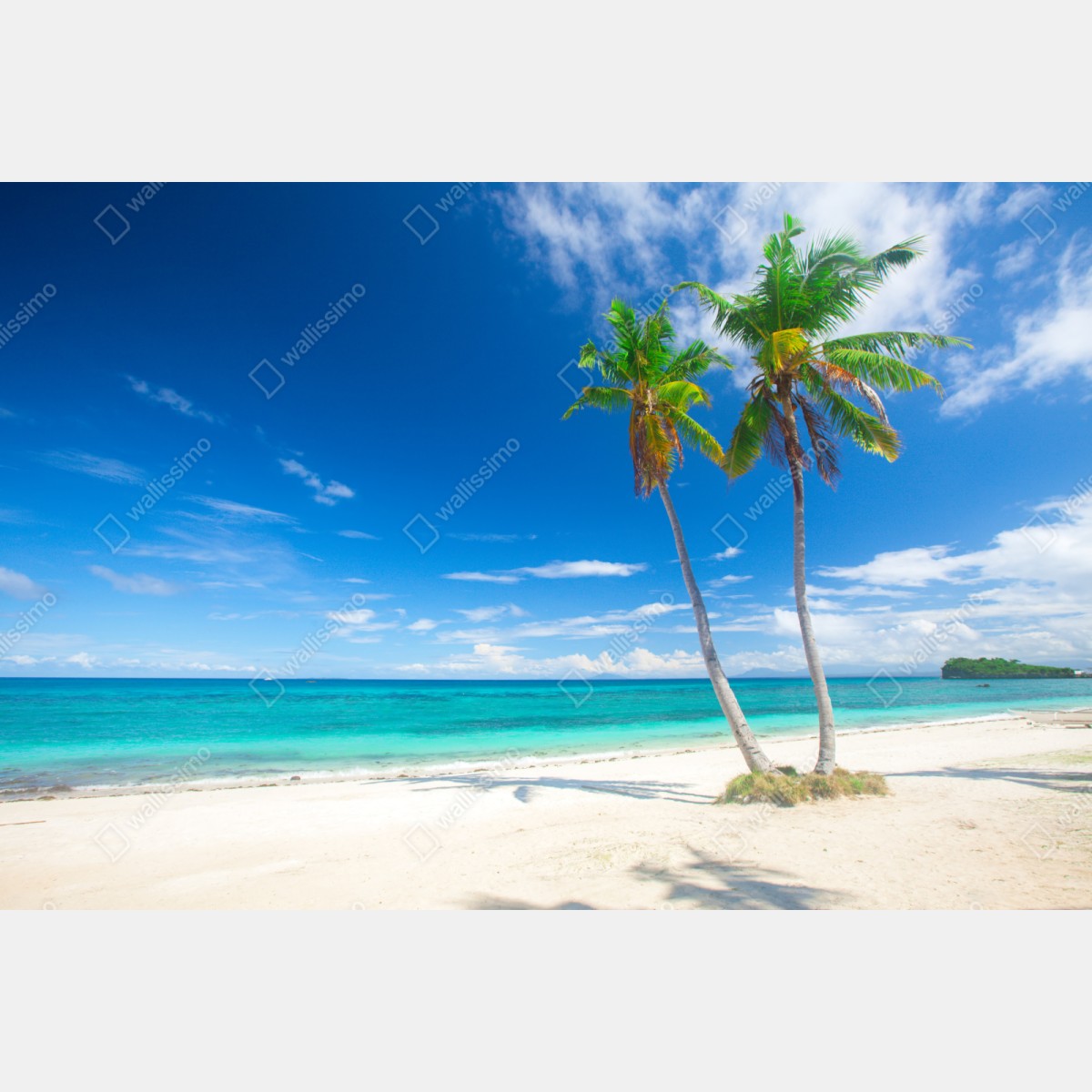 Naklejka repozycjonowalna tropikalne palmy na turkusowej plaży – Wallissimo® Naklejka repozycjonowalna tropikalne palmy na turkusowej plaży – Wallissimo®