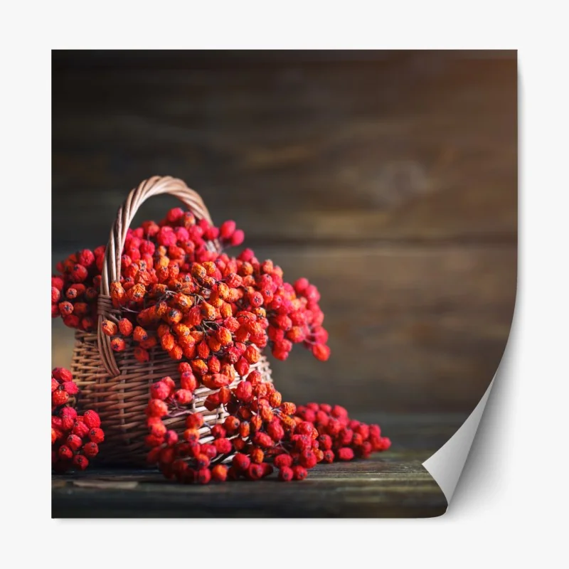 Naklejka repozycjonowalna dramatyczne klify nadmorskie i widok na ocean – Wallissimo®