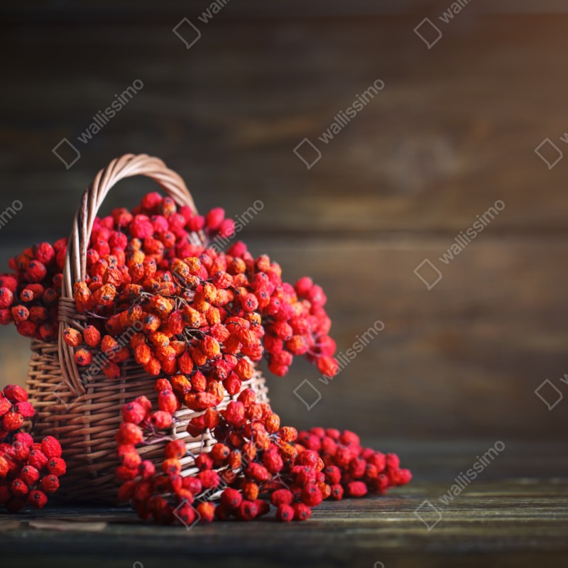 Naklejka repozycjonowalna jesienna jarzębina w wiklinowym koszu – Wallissimo® Naklejka repozycjonowalna jesienna jarzębina w wiklinowym koszu – Wallissimo®