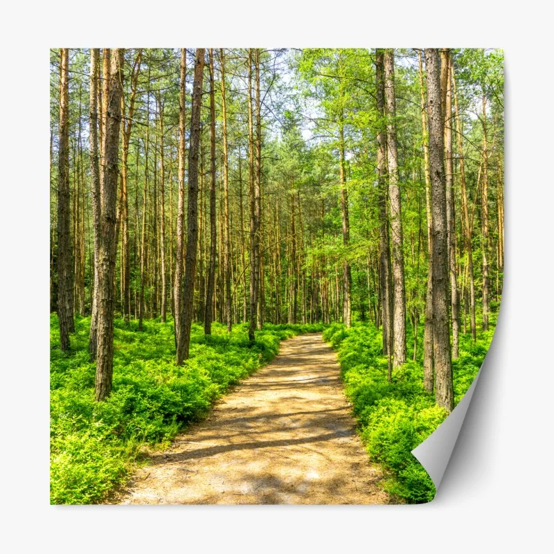 Naklejka repozycjonowalna złoty art deco łukowy wzór – Wallissimo®