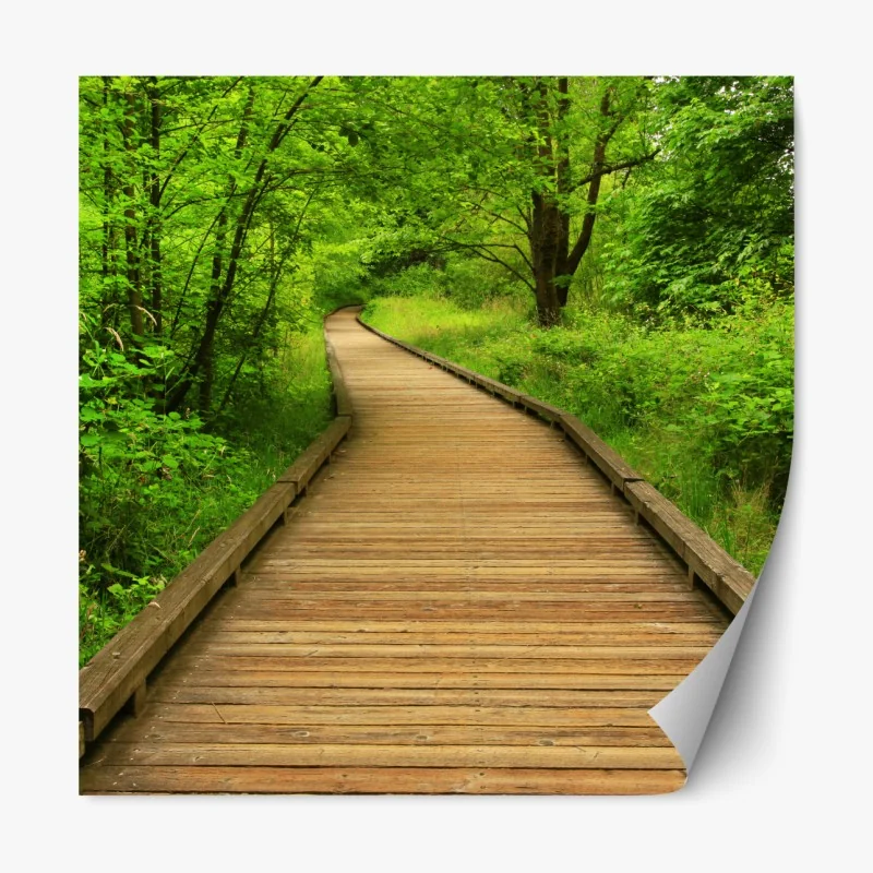 Naklejka repozycjonowalna spokojny drewniany pomost w lesie