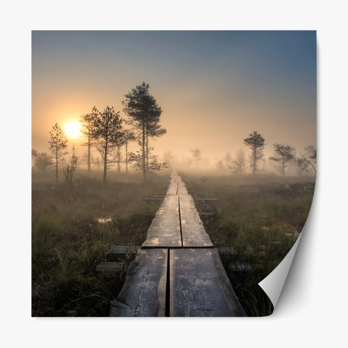 Naklejka repozycjonowalna mglisty wschód słońca nad drewnianą kładką – Wallissimo® Naklejka repozycjonowalna mglisty wschód słońca nad drewnianą kładką – Wallissimo®