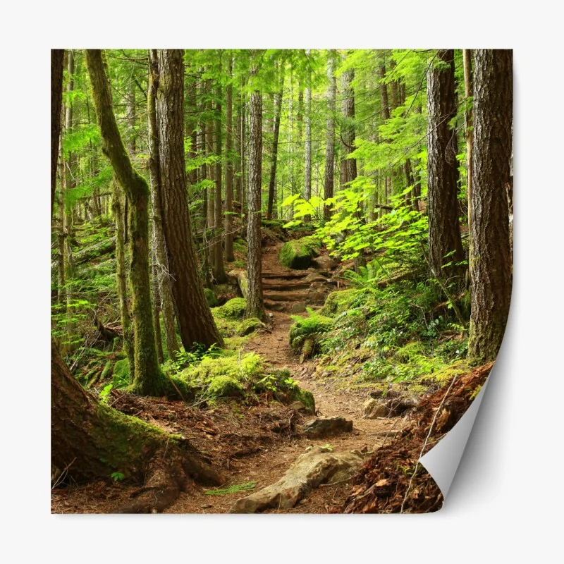 Naklejka repozycjonowalna Sanphet Prasat pałac nad jeziorem – Wallissimo®