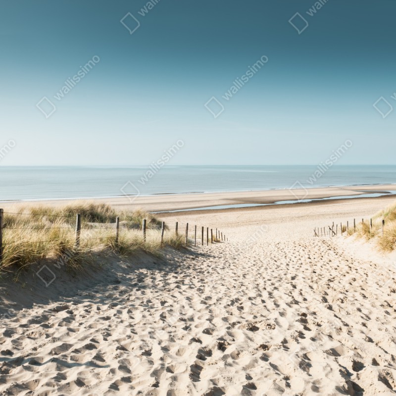 Naklejka repozycjonowalna wydmy i spokojne morze przy Noordwijk – Wallissimo® Naklejka repozycjonowalna wydmy i spokojne morze przy Noordwijk – Wallissimo®