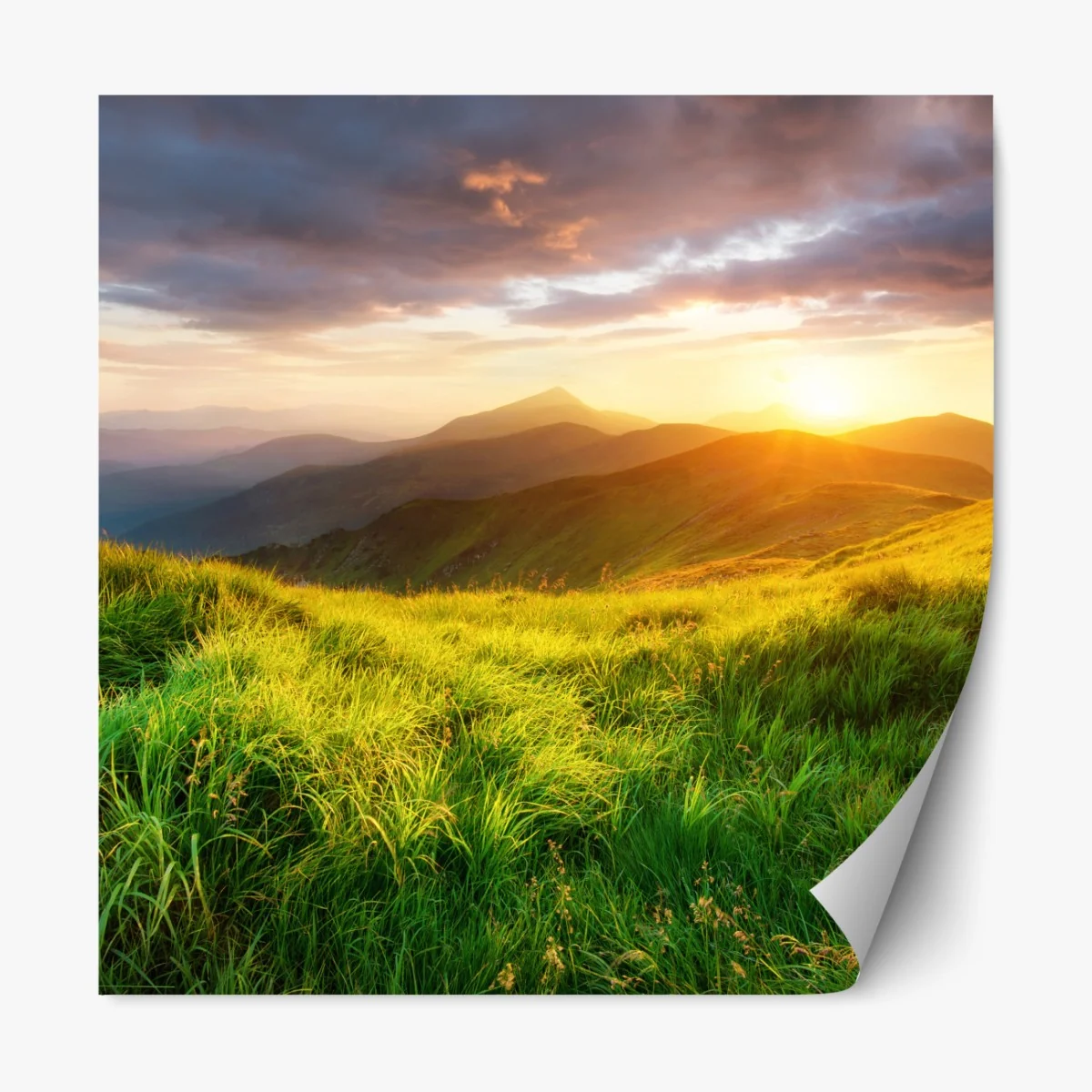 Naklejka repozycjonowalna słoneczna górska łąka o wschodzie słońca – Wallissimo® Naklejka repozycjonowalna słoneczna górska łąka o wschodzie słońca – Wallissimo®