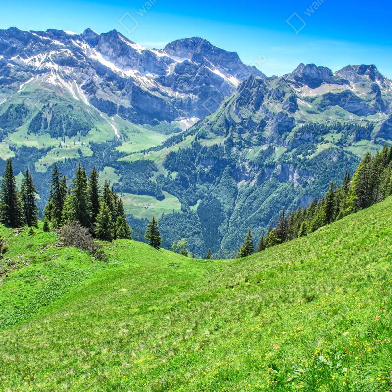 Naklejka repozycjonowalna alpejska panorama Engelberg, Szwajcaria – Wallissimo® Naklejka repozycjonowalna alpejska panorama Engelberg, Szwajcaria – Wallissimo®