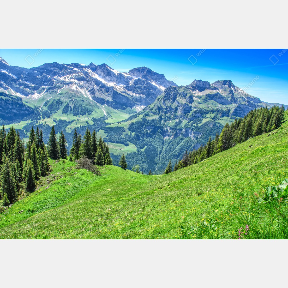 Naklejka repozycjonowalna alpejska panorama Engelberg, Szwajcaria – Wallissimo® Naklejka repozycjonowalna alpejska panorama Engelberg, Szwajcaria – Wallissimo®