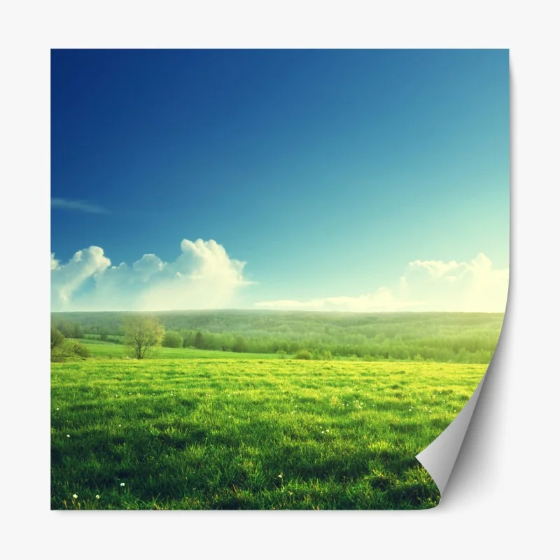 Naklejka repozycjonowalna tropikalne liście z geometrycznym wzorem – Wallissimo®