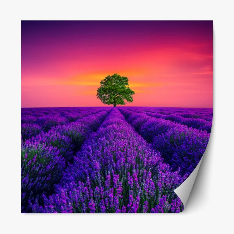 Naklejka repozycjonowalna trzy czerwone tulipany na czarnym tle – Wallissimo®