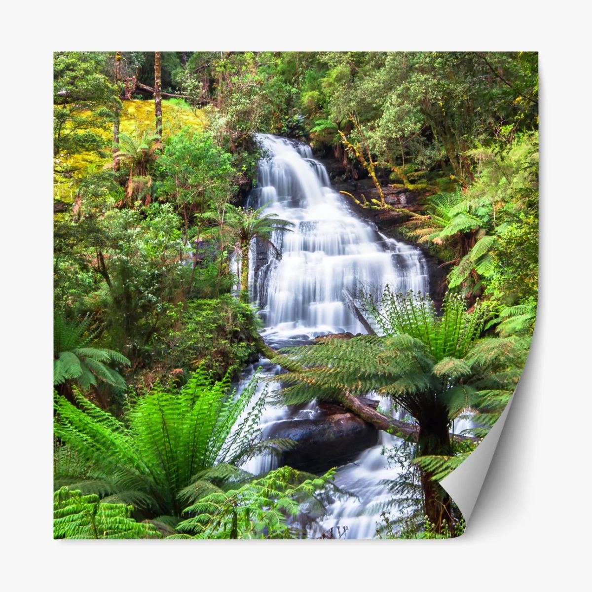 Naklejka repozycjonowalna Triplet Falls wodospad w Great Otway National Park – Wallissimo® Naklejka repozycjonowalna Triplet Falls wodospad w Great Otway National Park – Wallissimo®