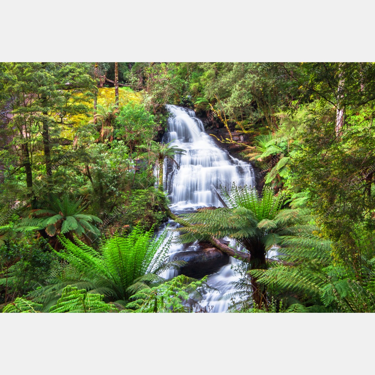 Naklejka repozycjonowalna Triplet Falls wodospad w Great Otway National Park – Wallissimo® Naklejka repozycjonowalna Triplet Falls wodospad w Great Otway National Park – Wallissimo®