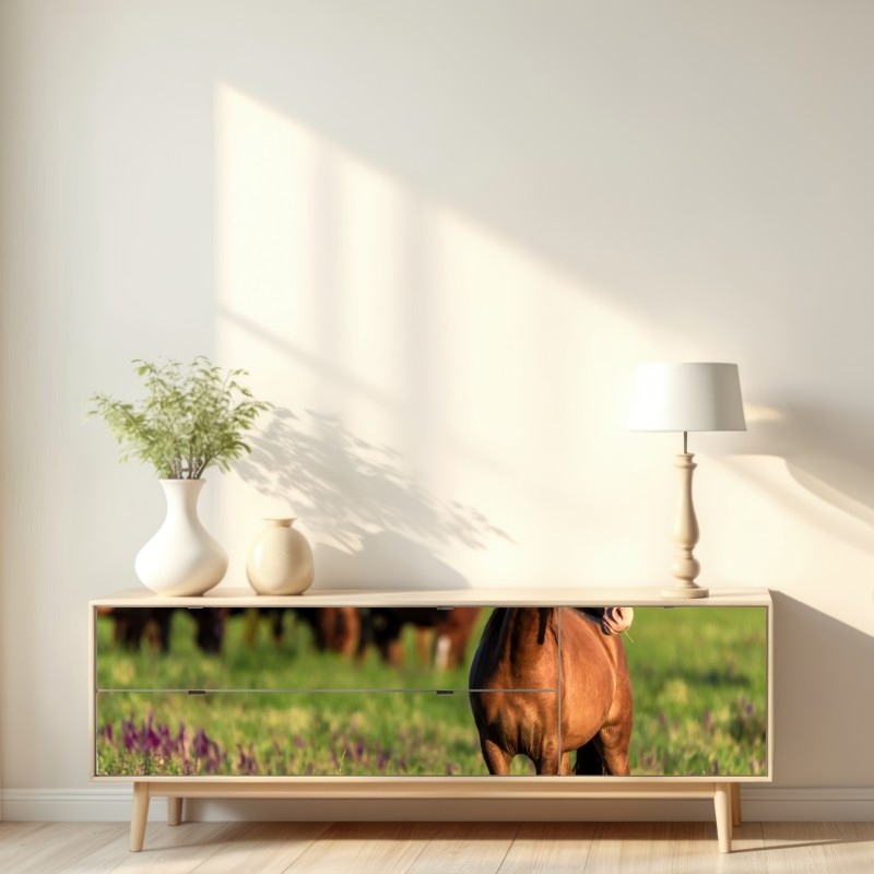 Naklejka repozycjonowalna majestatyczny brązowy koń na słonecznej łące – Wallissimo® Naklejka repozycjonowalna majestatyczny brązowy koń na słonecznej łące – Wallissimo®