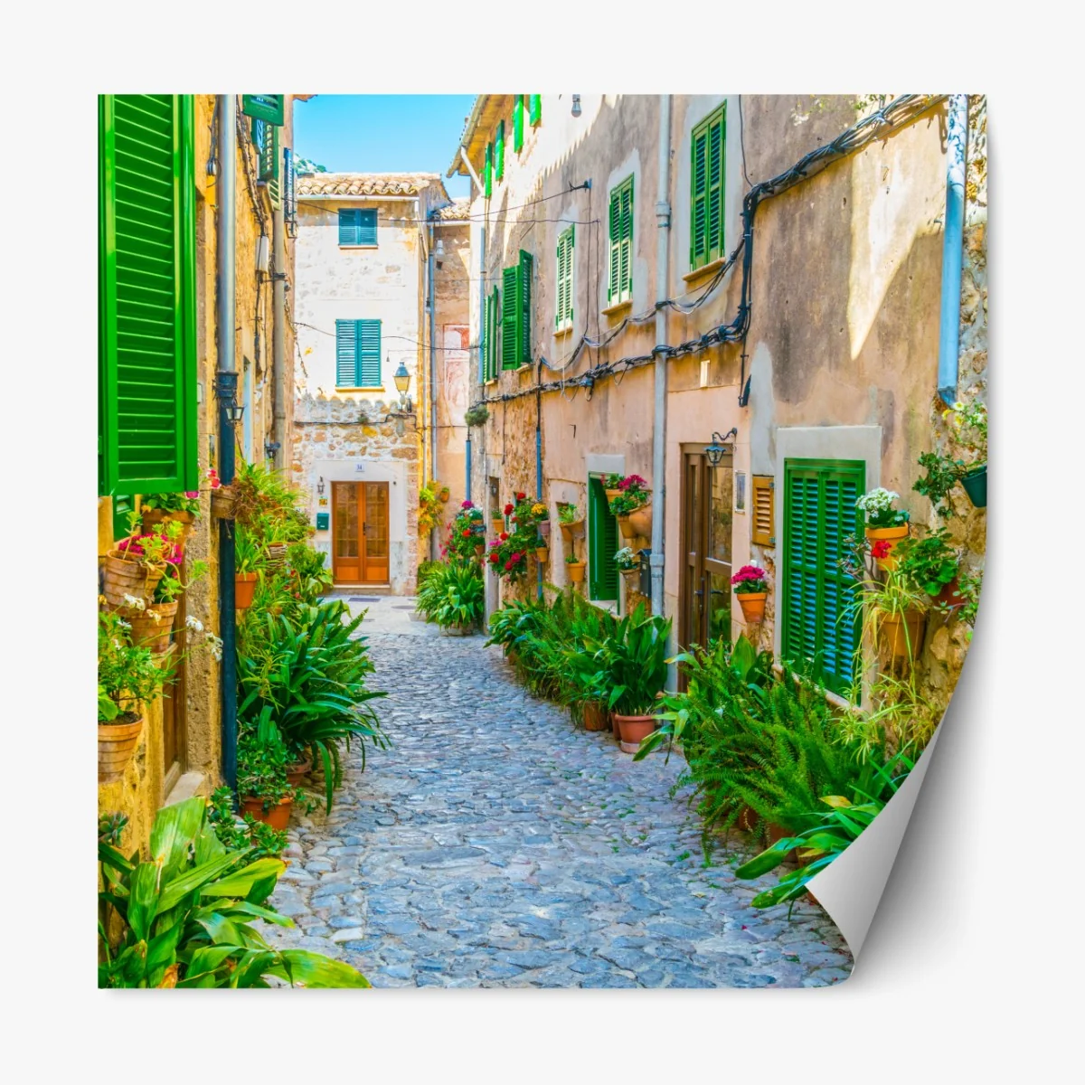 Naklejka repozycjonowalna słoneczna uliczka z zielonymi okiennicami – Wallissimo® Naklejka repozycjonowalna słoneczna uliczka z zielonymi okiennicami – Wallissimo®