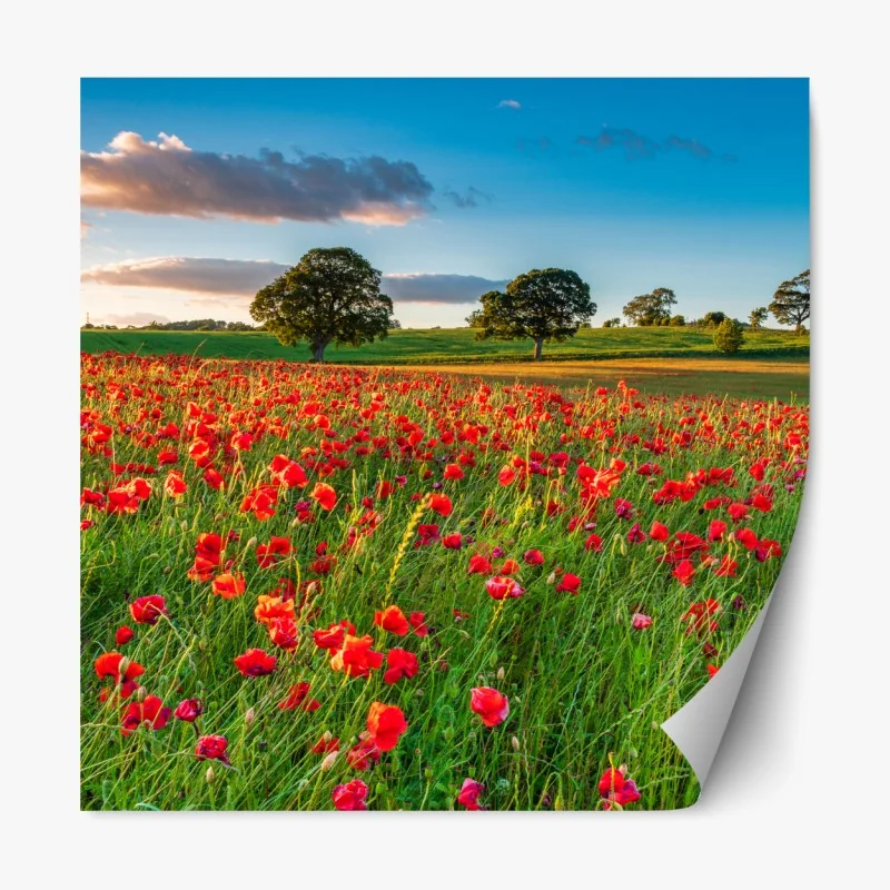 Naklejka repozycjonowalna złote słoneczniki – Wallissimo®