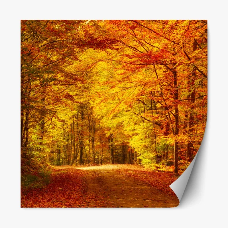 Naklejka repozycjonowalna zimowy las brzozowy ze złotym świtem – Wallissimo®