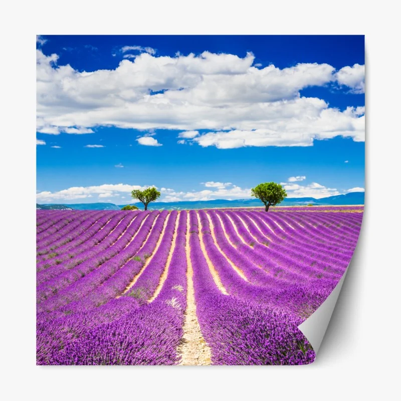 Naklejka repozycjonowalna Tower Bridge odbicie w odcieniach szarości – Wallissimo®