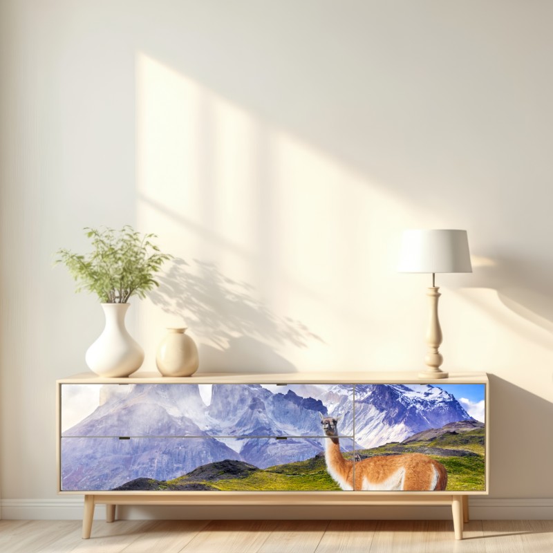 Naklejka repozycjonowalna Torres del Paine Patagonia krajobraz z guanako – Wallissimo® Naklejka repozycjonowalna Torres del Paine Patagonia krajobraz z guanako – Wallissimo®