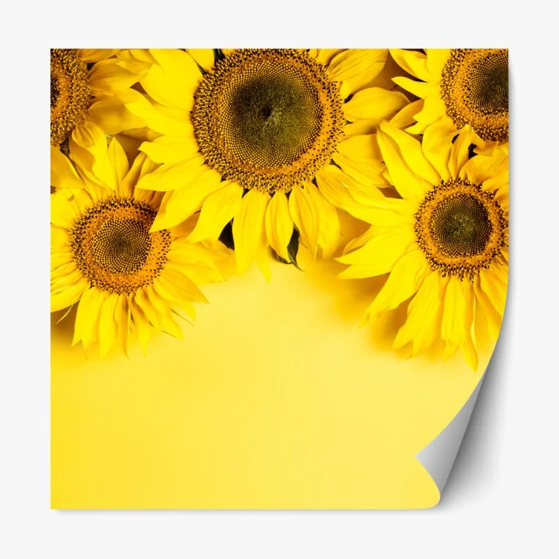 Naklejka repozycjonowalna tropikalny motyw tukanów – Wallissimo®