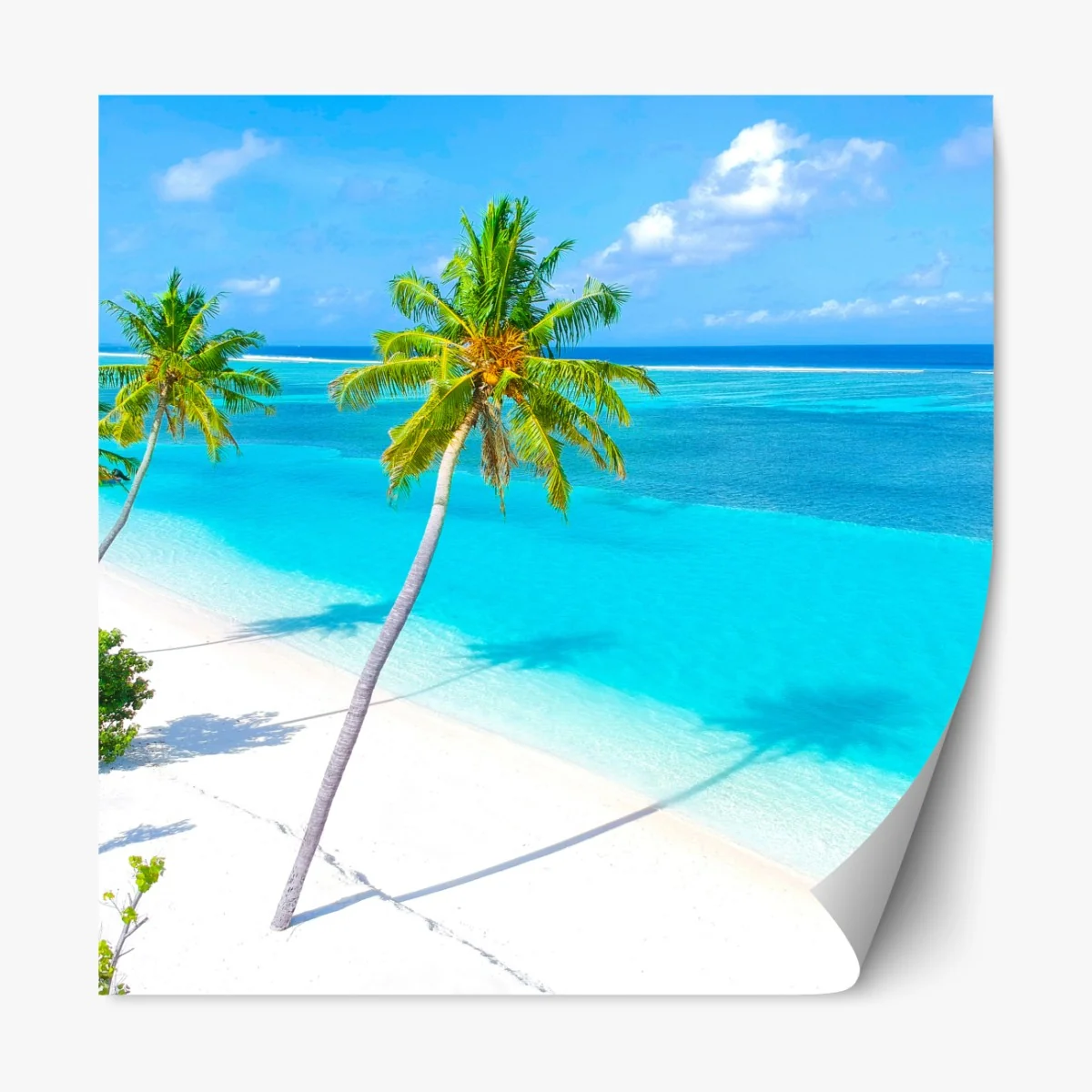 Naklejka repozycjonowalna tropikalna turkusowa plaża z palmami – Wallissimo® Naklejka repozycjonowalna tropikalna turkusowa plaża z palmami – Wallissimo®