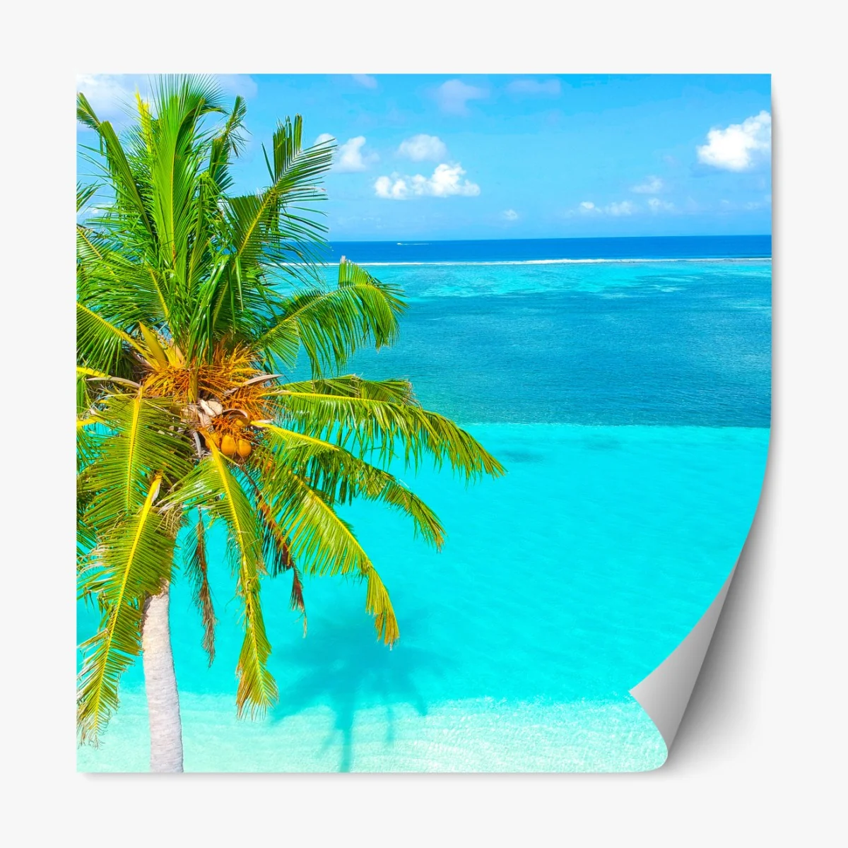 Naklejka repozycjonowalna tropikalna turkusowa plaża z palmą – Wallissimo® Naklejka repozycjonowalna tropikalna turkusowa plaża z palmą – Wallissimo®