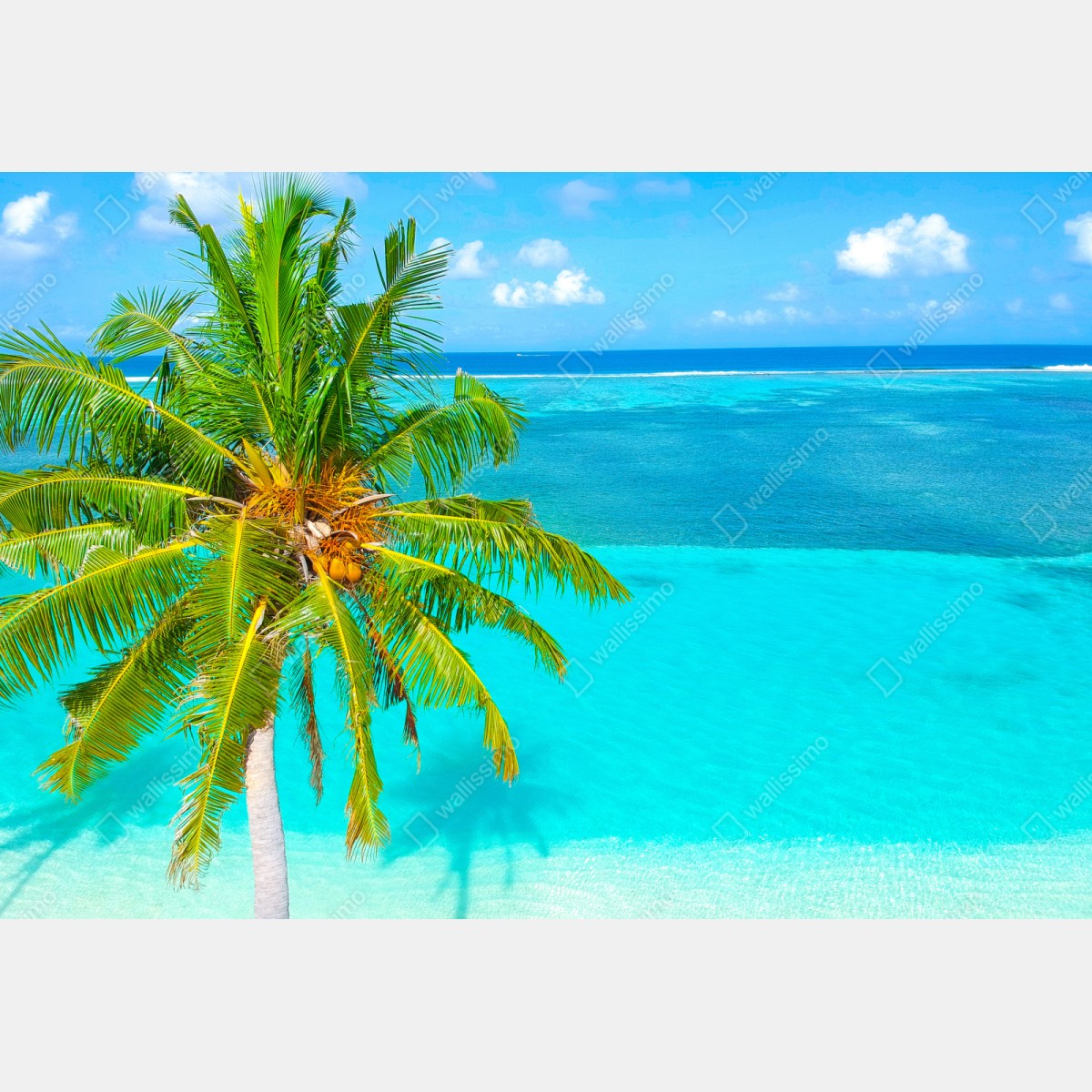 Naklejka repozycjonowalna tropikalna turkusowa plaża z palmą – Wallissimo® Naklejka repozycjonowalna tropikalna turkusowa plaża z palmą – Wallissimo®