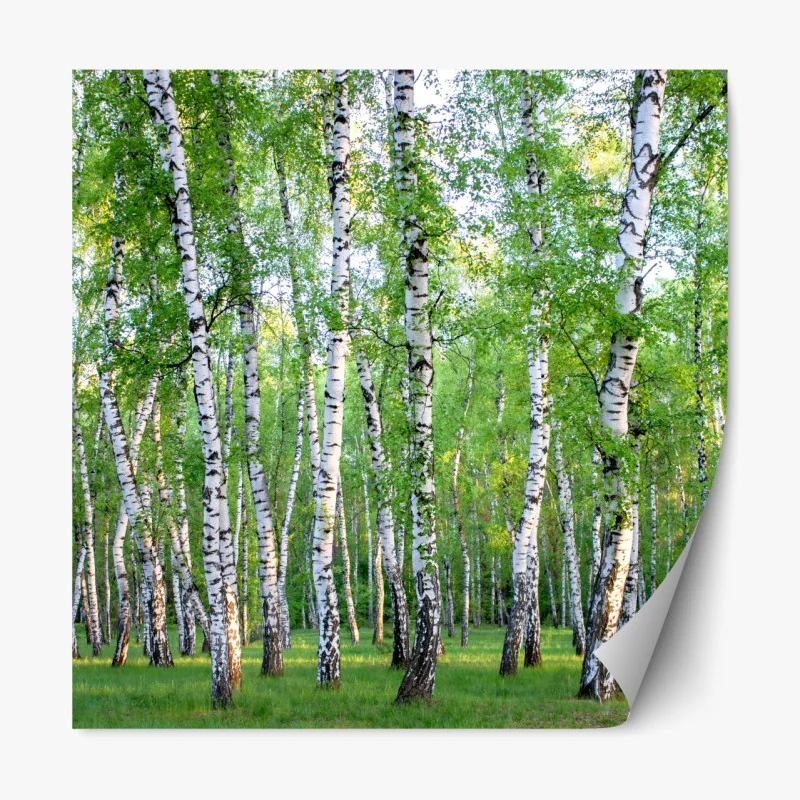 Naklejka repozycjonowalna niebieski marmur ze złotymi żyłami – Wallissimo®