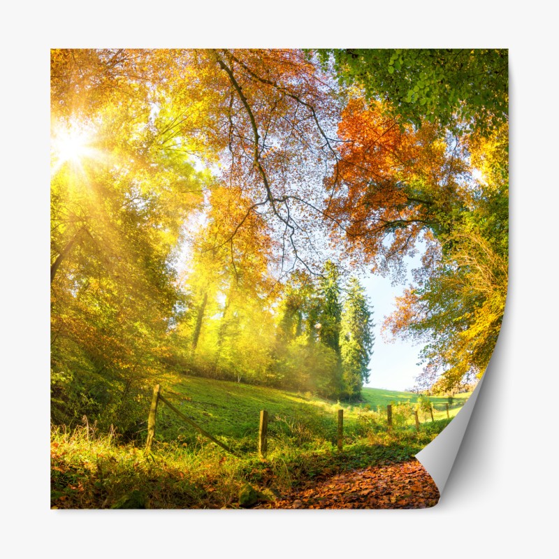 Naklejka repozycjonowalna sucha protea w sepii – Wallissimo®